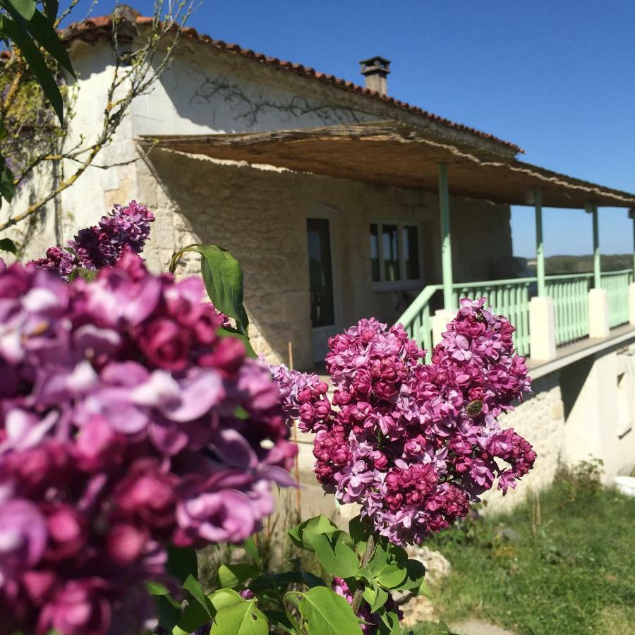 Le Mas Des Papillons Fargues  Exteriér fotografie